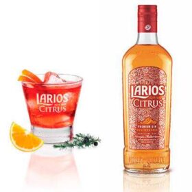 Ginebra Larios Citrus: imagen 2