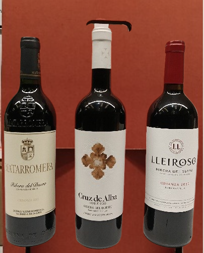 Pack "Ribera del Duero"